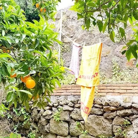 L'aranceto