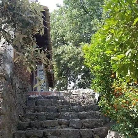 Dom wakacyjny L'aranceto