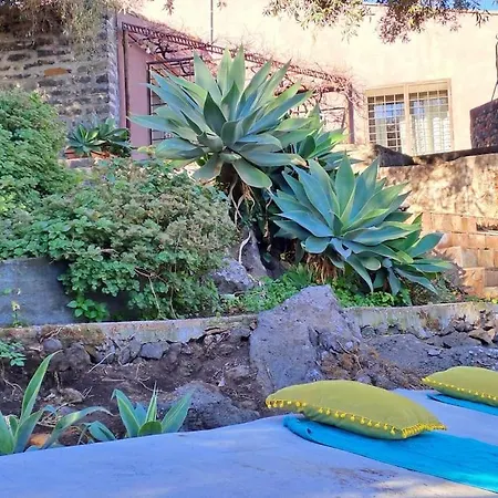 L'aranceto * 아치레알레