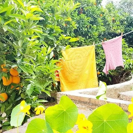 Semesterbostad L'aranceto
