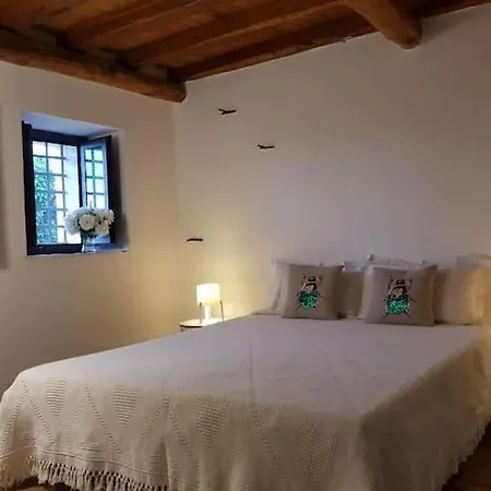 펜션 L'aranceto 아치레알레