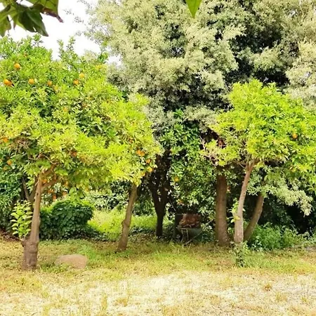 L'aranceto * Acireale