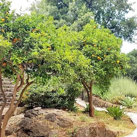 L'aranceto 아치레알레