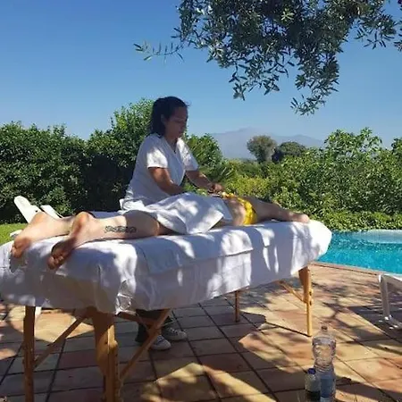 L'aranceto * 아치레알레