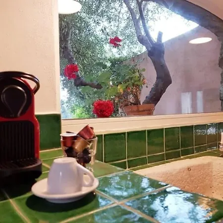 펜션 L'aranceto 아치레알레