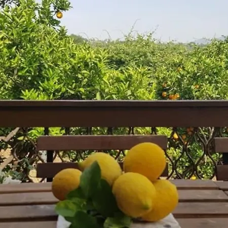 L'aranceto 펜션 아치레알레