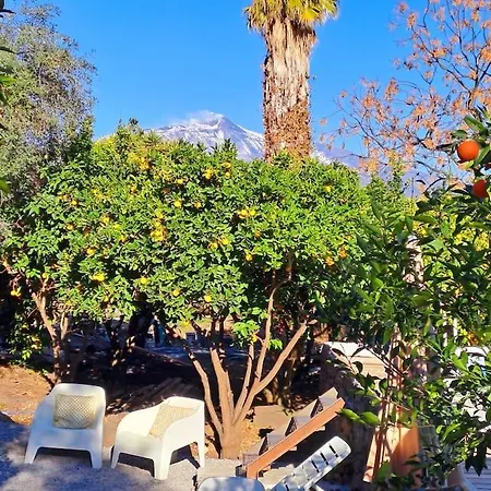 L'aranceto 아치레알레