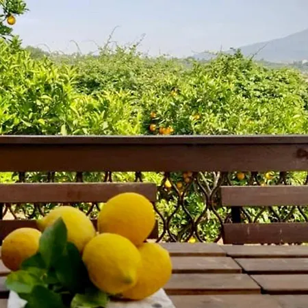 L'aranceto Semesterbostad Acireale