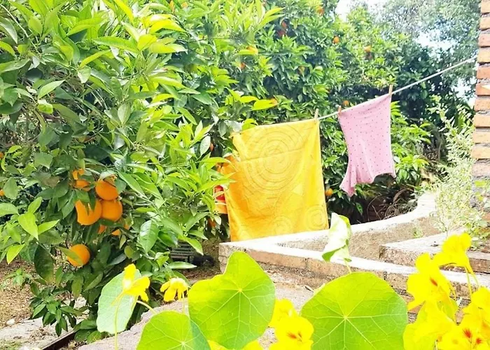 Hébergement de vacances L'aranceto
