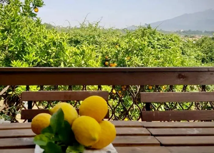 L'aranceto Hébergement de vacances Acireale